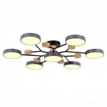 Потолочная люстра на штанге Evoluce Faema SLE6006-702-07