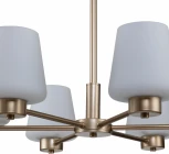 Люстра подвесная Tulip V000001 (13004/6P Gold) (220V, на цепи)