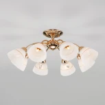 Потолочная люстра Eurosvet Camilla 30156/8