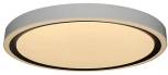 Потолочный светильник круглый Zortes Bella ZRS.1201.04 (LED, 220V, круглые, IP54)