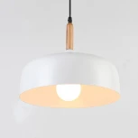 Подвесной светильник Moderli Augustina V1270-1P