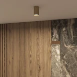 Точечный светильник накладной Denkirs Tube DK2050-SG (220V, круглые)