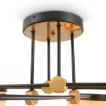 Потолочная люстра на штангу (220V)