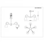 Потолочная люстра Evoluce Balcamo SLE103802-05