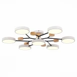 Потолочная люстра на штанге Evoluce Faema SLE6006-502-07 (LED, 220V, круглые)