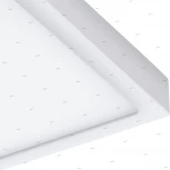 Настенно-потолочный светильник Eglo Argolis 96494 (LED, 220V)