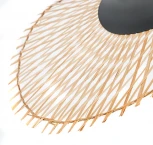 Подвесной светильник Arte Lamp Woodstock A7063SP-1BK (220V, на проводе)