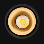 Потолочный светильник круглый Agenda Black+Gold 10W ImperiumLoft Agenda01 (191830-26) (LED, 220V)