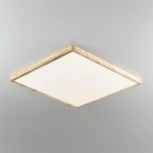 Настенно-потолочный светильник Citilux Бейсик CL738K502V (регулировка яркости, LED, 220V, IP40)