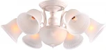 Потолочная люстра Arte Lamp Campanula A6306PL-8WG