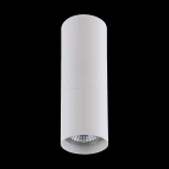 Накладной точечный светильник Lightstar Rullo 214496 (220V)