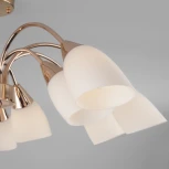 Потолочная люстра Eurosvet Ellene 30149 золото