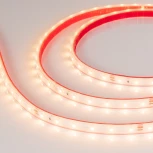 Светодиодная лента Arlight RTW 2-5000PS 024566