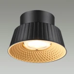 Потолочный светильник Odeon Light Mali 6643/6CL IP20 LED 7W 3000K 220V черный/металл/акрил