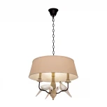 Подвесная люстра с птичками Loft It Birds LOFT1029A-2