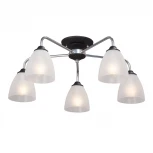 Потолочная люстра Vitaluce V3946-1/5PL (220V)