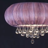 Потолочный светильник ST Luce Preferita SL350.092.05