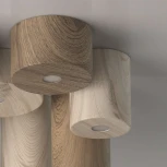 Потолочный светильник круглый DeMarkt Иланг 712010801 (LED, 220V)