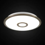 Потолочный светильник Citilux Старлайт Смарт CL703A33G