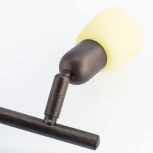 Спот на штанге Citilux Ронда CL506524 (220V, круглые)