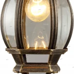 Уличный светильник подвесной Arte Lamp Atlanta A1045SO-1BN