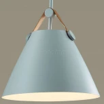 Подвесной светильник Lumion Darren 3721/1