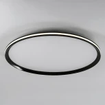 Потолочный светильник светодиодный с пультом с регулировкой цветовой температуры LED4U LED4U L3020-600 BK