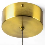 Подвесной светильник LED Lightstar Botto 800013 (220V, на проводе)