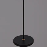 Торшер Reluce 00301-0.6-01D BK (220V)