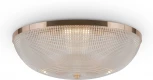 Потолочный светильник круглый Maytoni Coupe C046CL-06G (220V, круглые)