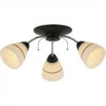 Потолочная люстра Toplight Winnifred TL1255D-03BC