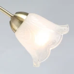 Потолочная люстра на штанге De City Флора 670011005