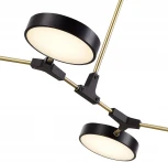 Потолочная люстра на штанге Monta SLE6004-402-04 Evoluce