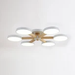 Потолочная люстра ImperiumLoft TURNA01 (LED, 220V)