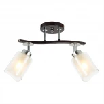 Потолочная люстра на штанге Citilux Фортуна CL156122 (220V)