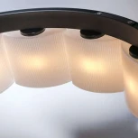 Подвесной светильник Lightstar Nibbler 812126 (220V, на тросе, цветы)