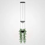 Подвесной светильник Palma Wall Lamp Шар + Вазон ImperiumLoft 22,93727 (168489-22) (220V, на тросе, шар)