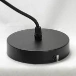 Подвесной светильник Lussole Loft Badger GRLSP-9543 (220V, на проводе, круглые, IP21)