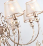 Подвесная люстра Favourite Teneritas 2553-8P