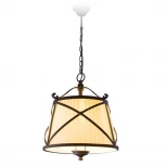 Подвесная люстра L'Arte Luce Torino L57701.88