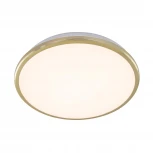 Потолочный светильник Citilux Луна CL702222W