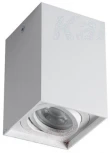 Точечный светильник Kanlux GORD 25477 (220V)