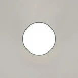 Накладной точечный светильник Citilux Борн CL745011N (LED, 220V, диммер, круглые)