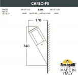 Настенный светильник уличный Fumagalli Carlo DR1.571.000.WXU1L (220V, факел, IP55)