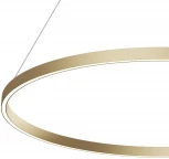 Подвесной светильник Maytoni Rim MOD058PL-L54BSK