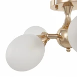 Потолочная люстра на штанге Arte Milano Napoli-2420 332420/5 FGD (220V)