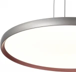 Подвесной светильник ST Luce Satellite SL6015.413.01 Темно-Серый/Белый LED 1*45W (220V, пульт управления, на тросе, круглые)