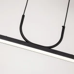 Подвесной светильник Favourite Raya 4096-1P (LED, 220V, на проводе)