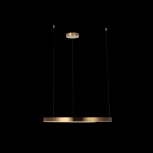 Подвесной светильник Loft IT Ring 10013L (LED, 220V, на тросе, кольцо)