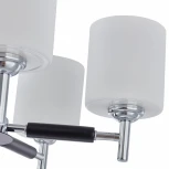 Потолочная люстра на штанге Arte Milano Napoli-2220 332220/8 CR